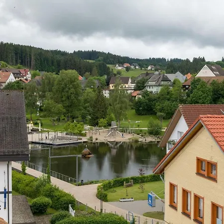 Grosses Mit Sauna, Grill, Garten, Kaminofen * Schonach im Schwarzwald