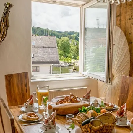 Grosses Mit Sauna, Grill, Garten, Kaminofen - Zum Kuckuck Schonach im Schwarzwald