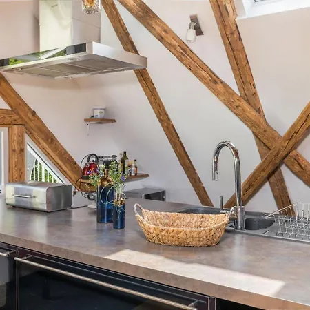 Grosses Mit Sauna, Grill, Garten, Kaminofen Schonach im Schwarzwald