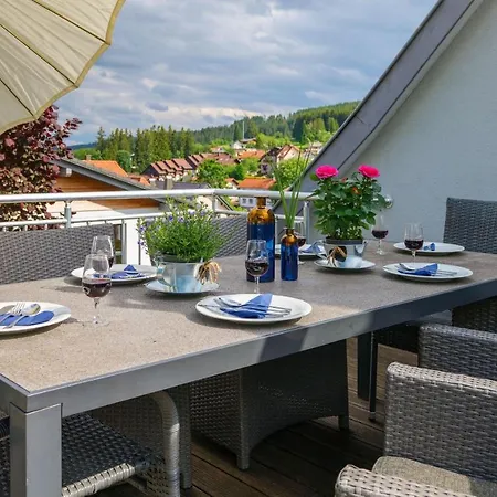 Grosses Mit Sauna, Grill, Garten, Kaminofen - Zum Kuckuck * Schonach im Schwarzwald